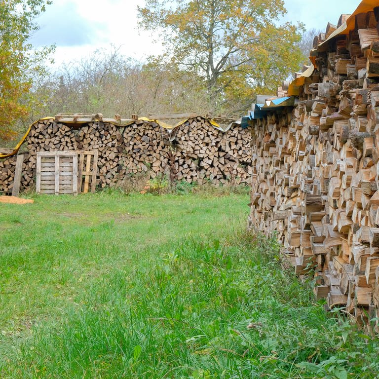 Holzstapel bei der Privatwaldtagung in Pfronstetten (Foto: SWR, Jochen Krumpe)