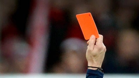 Schiedsrichter zeigt Rote Karte beim Fußballspiel  (Foto: dpa Bildfunk, Patrick Seeger)