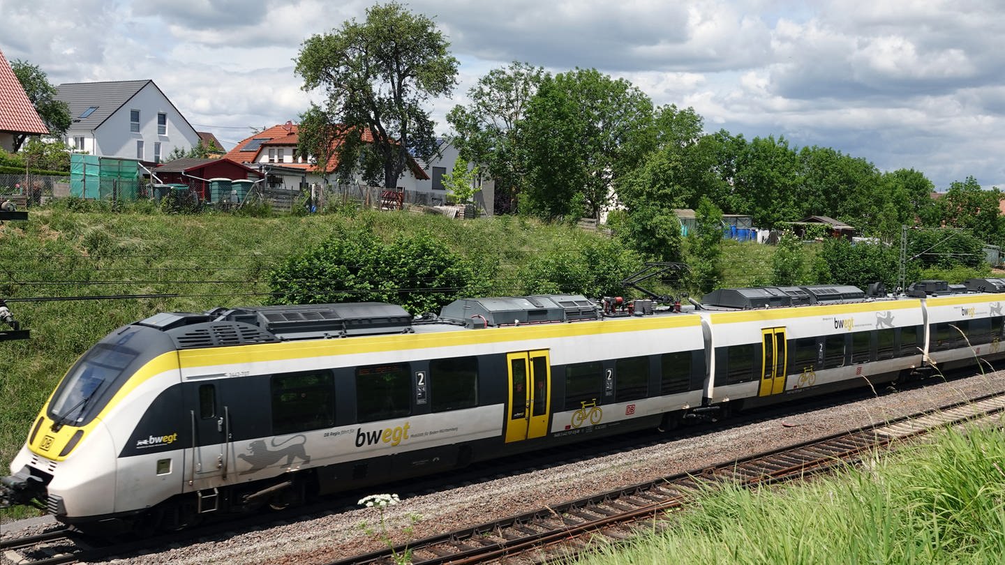 Zug fährt auf der Gäubahn-Strecke (Foto: dpa Bildfunk, Christian Johner)