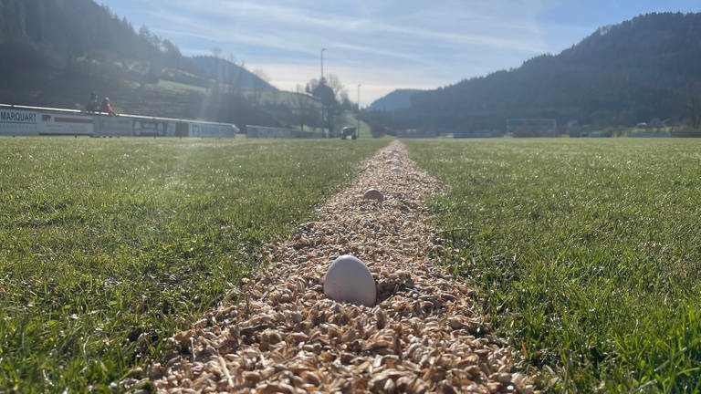 Auf der Schupf-Strecke auf dem Sportplatz liegen Eier. Im Abstand von rund 61 Zentimetern sind sie auf der Strecke aufgereiht. (Foto: SWR, Ingemar Koerner)