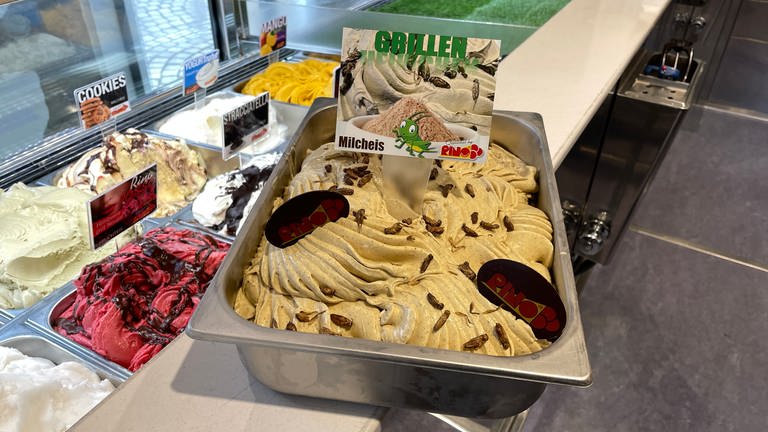 In Rottenburg testet eine Eisdiele derzeit, ob die Kunden Grillenmehl-Eis schlecken möchten. (Foto: SWR, SWR / Ghiba)