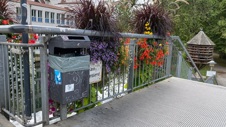 Umweltscouts in Tübingen halten die Stadt von Müll sauber