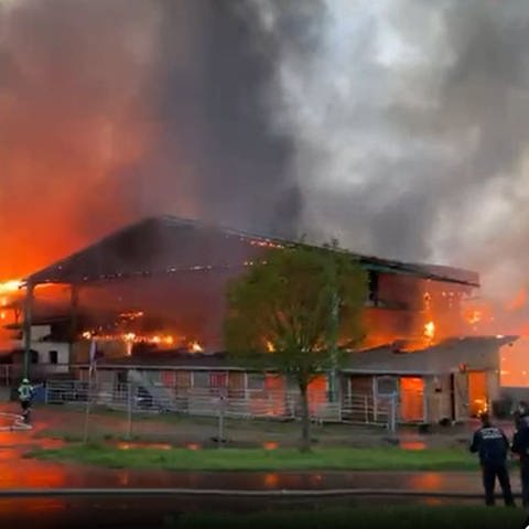 Ein Pferdehof brennt in Ofterdingen (Kreis Tübingen). Die Feuerwehr und andere Einsatzkräfte sind ausgerückt.  (Foto: SWR, Thomas Hagenloch)