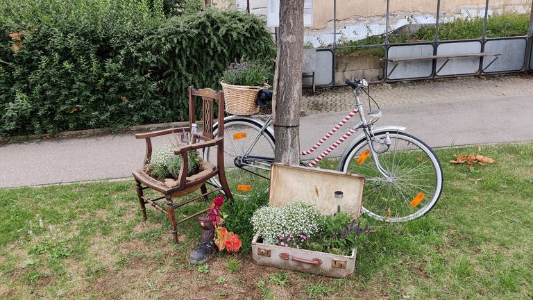 Vor einem Baum steht viel Blumenschmuck und ein altes Fahrrad (Foto: SWR)