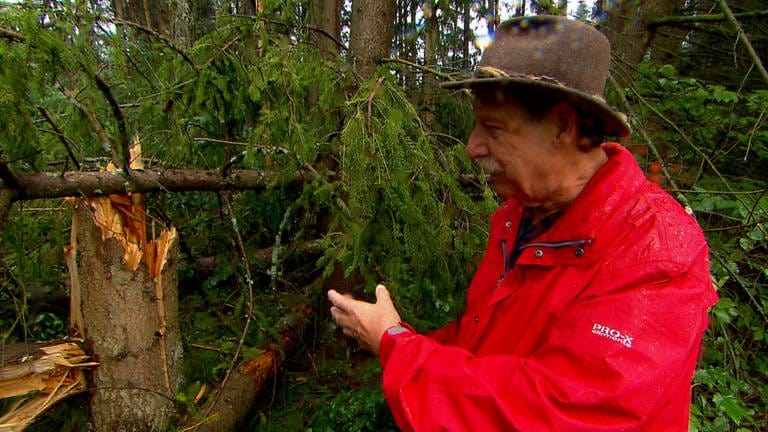 Waldbesitzer Uwe Ehmann zeigt auf einen Baum, der vom Sturm umgeknickt ist.