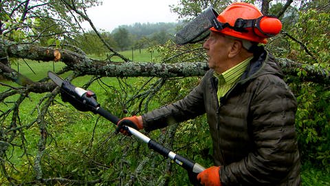 Hans Streib sägt einen Baum klein, der vom Sturm erwischt wurde und jetzt gebrochen auf der Wiese liegt. In vielen Wäldern müssen Helferinnen und Helfer aufräumen.