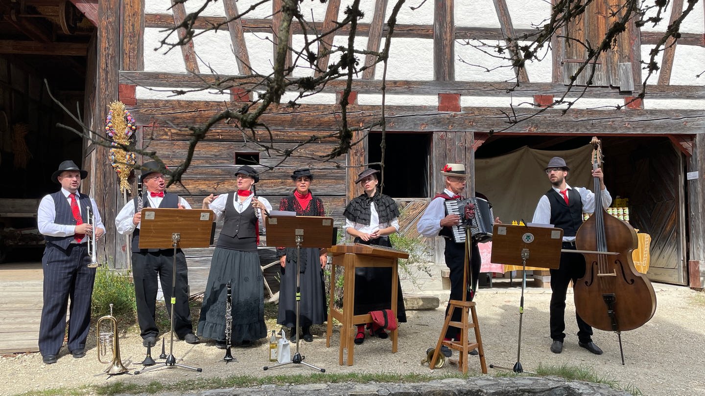 Musiker und Sänger machen Stimmung beim 25. Volksmusiktag im Freilichtmuseum Neuhausen ob Eck (Kreis Tuttlingen) (Foto: SWR, Mia Zundel)