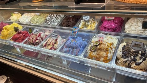 Eistheke mit vielen bunten Eissorten in der Eisdiele Figo in Tübingen. (Foto: SWR, Milla Pichl)