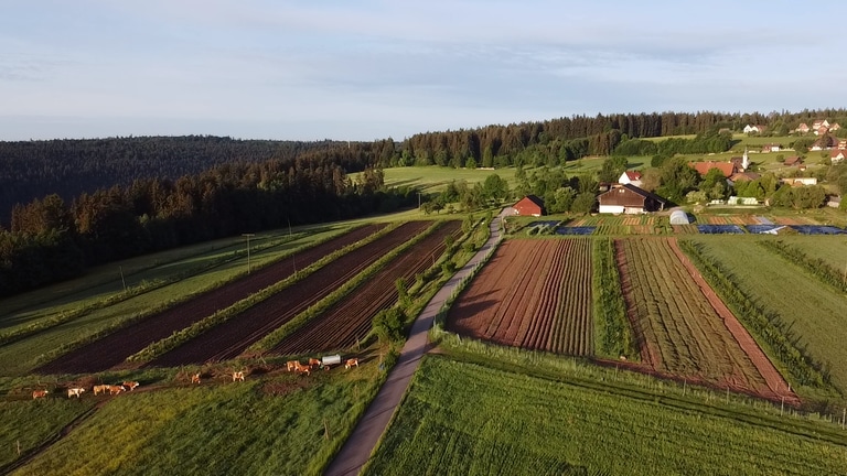 Naturpark startet Agrofort-Projekt in Seewald (Foto: Pressestelle, NATURPARK Schwarzwald Mitte/Nord e.V.)