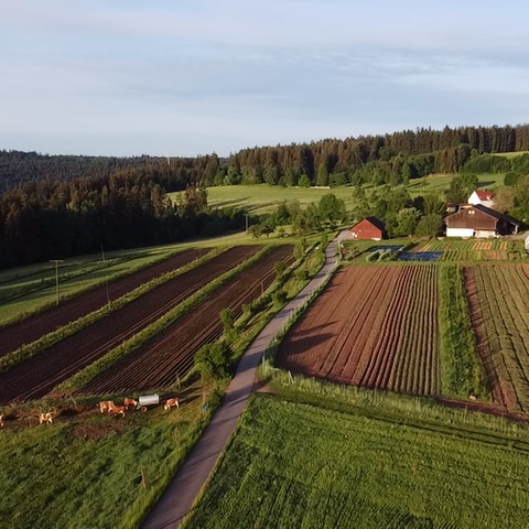 Naturpark startet Agrofort-Projekt in Seewald (Foto: Pressestelle, NATURPARK Schwarzwald Mitte/Nord e.V.)