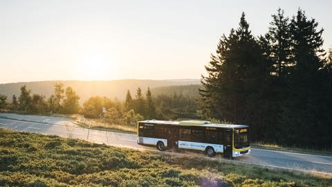 Bus im Nationalpark Schwarzwald bei Sonnenaufgang (Foto: SWR, Markus Beschorner)