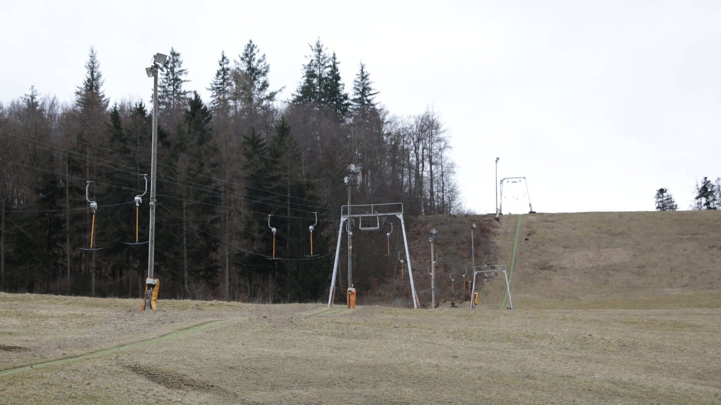 Grüne Hügel am Skilift in Albstadt-Tailfingen im Februar 2024 (Foto: SWR, Tabea Günzler)
