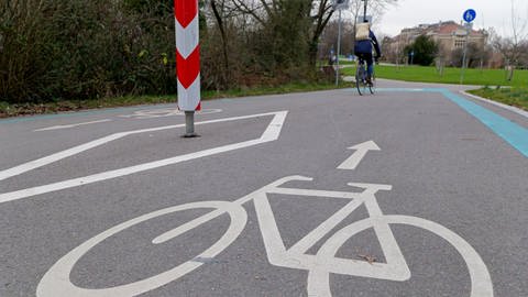 Die neue Radroute in der Allee-ähnlichen Straße "Planie" entlang der Pomologie in Reutlingen ist mit Markierungen auf der Straße schon angelegt. Hier sollen Radfahrer und Fußgänger Vorrang bekommen. (Foto: SWR, Harry Röhrle)