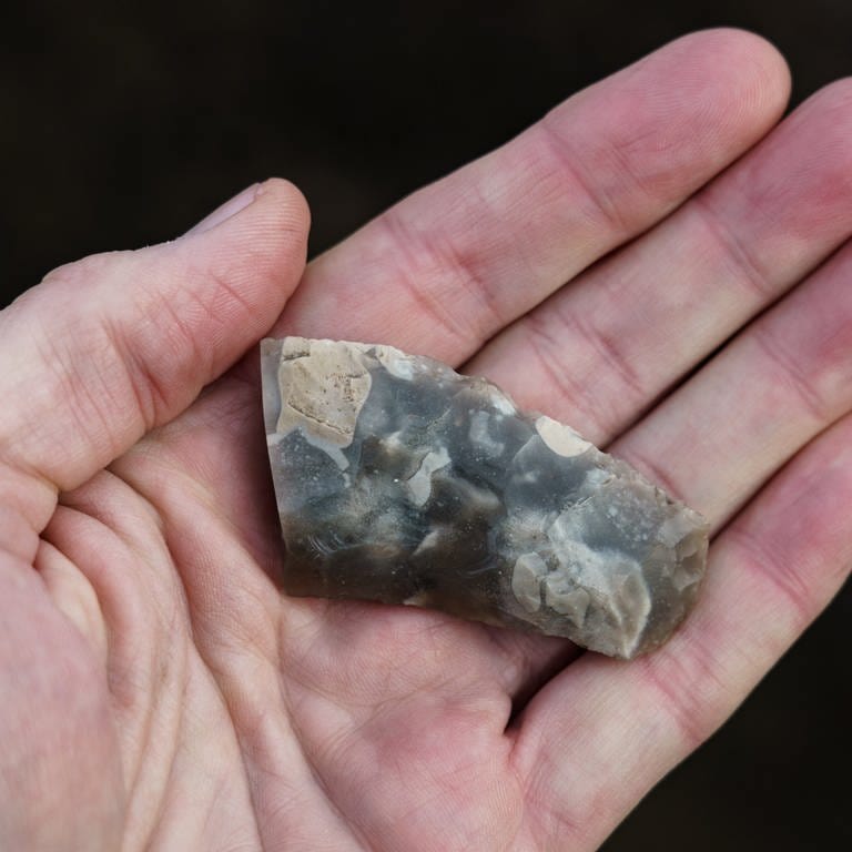 Symbolbild: Ein Archäologe hält das Bruchstück einer circa 4000 Jahre alten Flintsichel in der Hand. Steine waren für Menschen lange das wichtigste Material für Werkzeuge. Forschende der Uni Tübingen haben herausgefunden: Steinzeitmenschen kannten sich mit dem Material besonders gut aus.