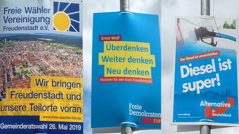 Wahlplakate zur Kommunalwahl in Freudenstadt (Foto: SWR, Emily Scharwächter)