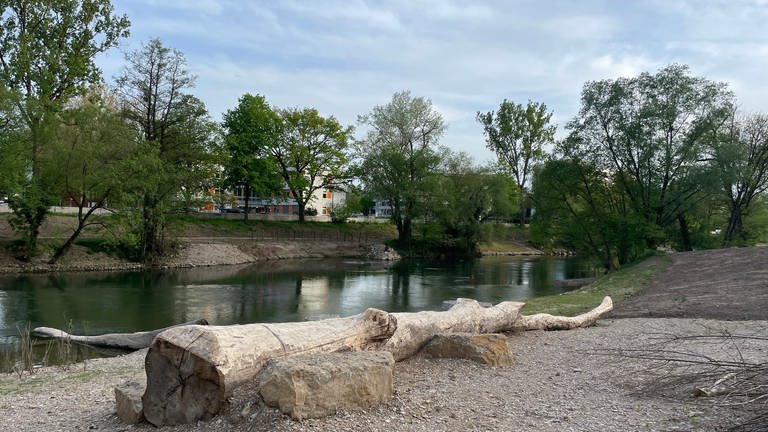 Am Neckar in Tübingen ist noch viel Kies zu sehen. Die Ufer sind teils grün, teils steinig. Der Fluss schlängelt sich unter Bäumen hindurch. Insgesamt kostet das Projekt neun bis zehn Millionen Euro.