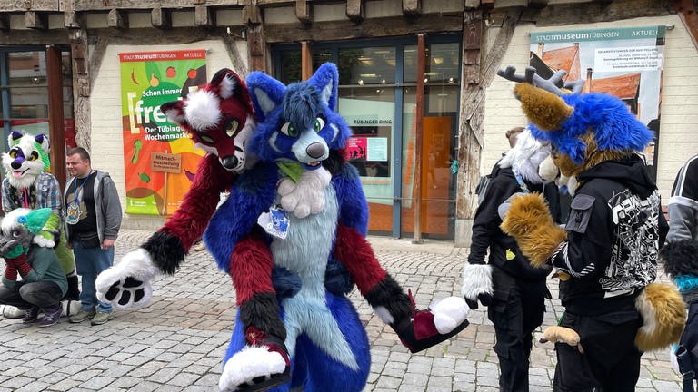 Menschen in bunten Hunde-Kostümen verkleidet waren am Samstag in der Altstadt in Tübingen unterwegs und wollten sich und anderen damit eine Freude machen.