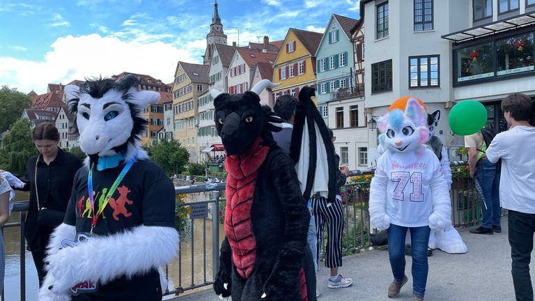 Furries waren in Tübingen unterwegs - auch auf der Neckarbrücke, zum Beispiel als regenbogenfarbener Husky "Candy" verkleidet. 