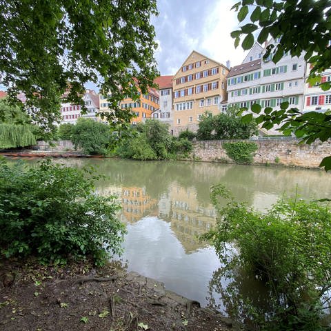 Ob auf dem Neckar in Tübingen das Stocherkahnrennen stattfindet, ist noch fraglich. Das DLRG hat den Fluss noch nicht freigegeben.