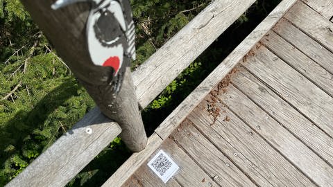 Auf dem Holzweg ist ein QR-Code aufgeklebt unterhalb eines Spechtes aus Holz auf dem Spechtpfad Baiersbronn 