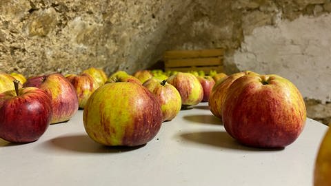 Äpfel liegen auf einem Tisch in Schelklingen (Foto: SWR, Kristina Priebe)