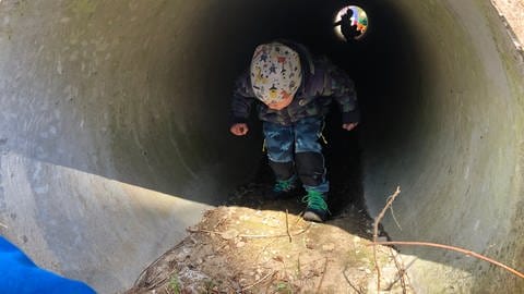 Once you cross the frog tunnel, please.  (Photo: SWR, Isabella Hafner)