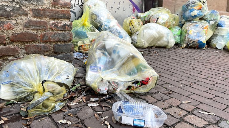 Sturmtief "Ylenia" wirbelt Müll auf die Straßen von Ulm (Foto: SWR)