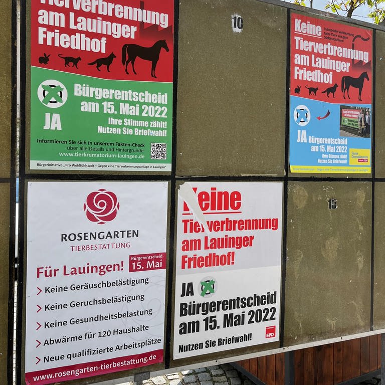 In Lauingen (Kreis Dillingen) wird es zunächst kein Tierkrematorium geben, das ergab jetzt ein Bürgerentscheid. Der Standort im Osten der Stadt neben einem Friedhof war umstritten.  (Foto: SWR, Judith Zacher)