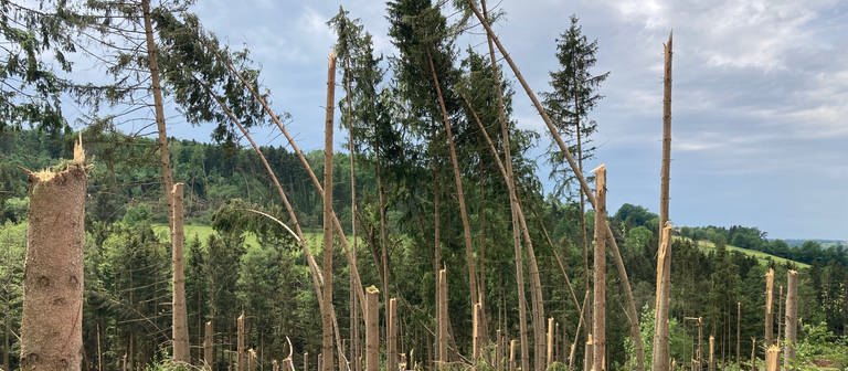Ein Tornado hat in vielen Wäldern im Ostalbkreis große Schäden verursacht (Foto: Landratsamt Ostalbkreis)