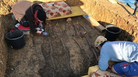 Archäologen arbeiten an Skeletten im Nördlinger Ries (Foto: SWR, Tobias Hildebrandt)