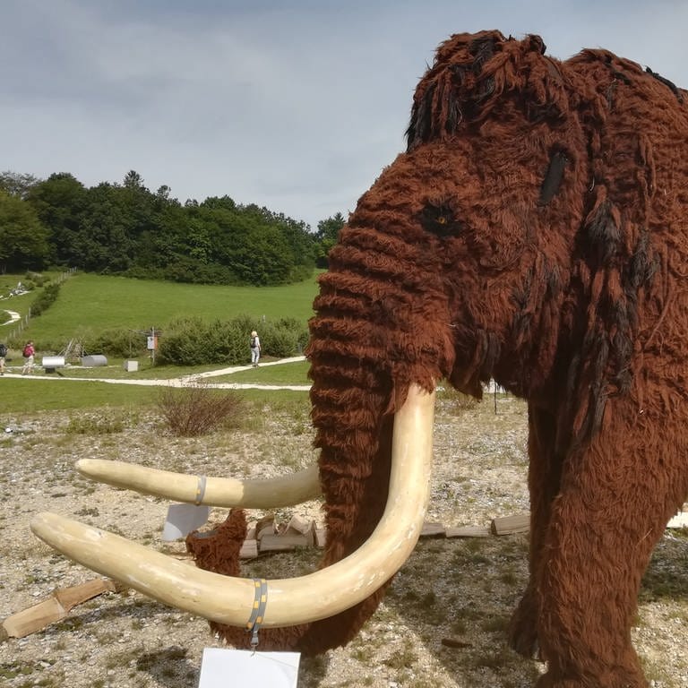 Teile der Sonderausstellung und das Mammut im Archäopark Niederstotzingen (Foto: SWR, Peter Köpple)
