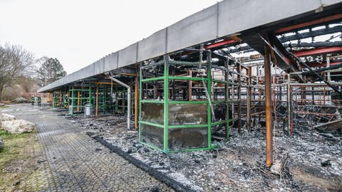 Ein Feuer hat die Wentalhalle in Steinheim am Albuch komplett zerstört. (Foto: IMAGO, IMAGO / onw-images)