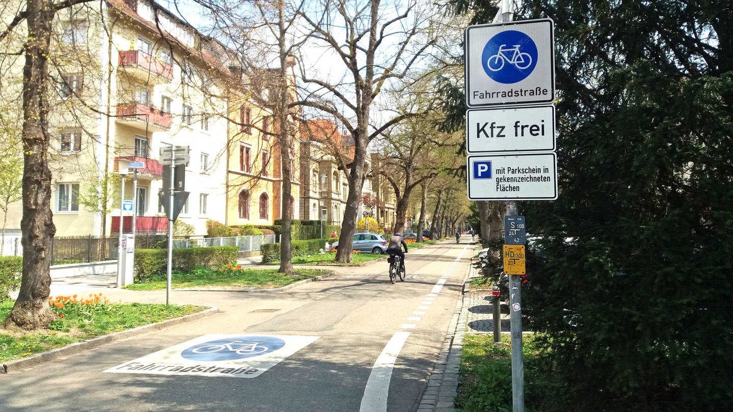 Ein Radfahrer fährt durch eine Fahrradstraße in Ulm (Foto: SWR, Sabine Bauer)