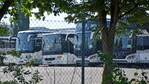 Der Busparkplatz von Evobus Neu-Ulm durch einen bewachsenen Maschendrahtzaun. IG Metall befürchtet Abbau von 600 Stellen bei Evobus in Neu-Ulm (Foto: SWR, Christine Janke)