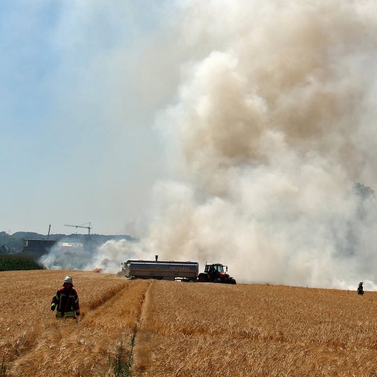 Flächenbrände auf den Feldern im Landkreis Neu-Ulm wegen Trockenheit (Foto: Wilhelm Schmid)
