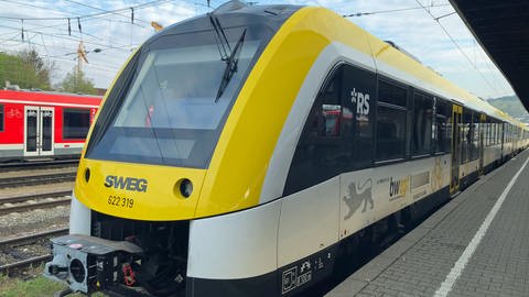 Zugausfälle auf der Brenzbahn zwischen Ulm und Aalen und der Donaubahn zwischen Ulm und Ehingen dauern länger als geplant (Foto: SWR)