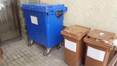 Leerung von Mülltonnen in Ulm später, wegen Krankheit, Corona und Urlaub (Foto: SWR, Petra Volz)