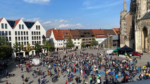 Demonstrierende auf dem Ulmer Münsterplatz: Fridays For Futuer hatte zu einer weltweiten Klimademonstration aufgerufen. (Foto: SWR, Hannah Schulze)