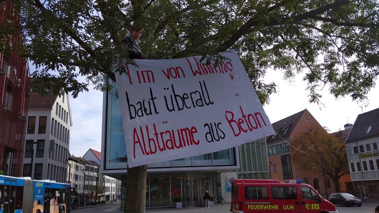 Klimaaktivistin Charlie Kiehne demonstriert in der Ulmer Innenstadt auf einem Baum sitzend für den Erhalt eines Waldstücks nahe der Uniklinik.  (Foto: Klimaaktivisten von ukmer-uniwald.bleibt.de)
