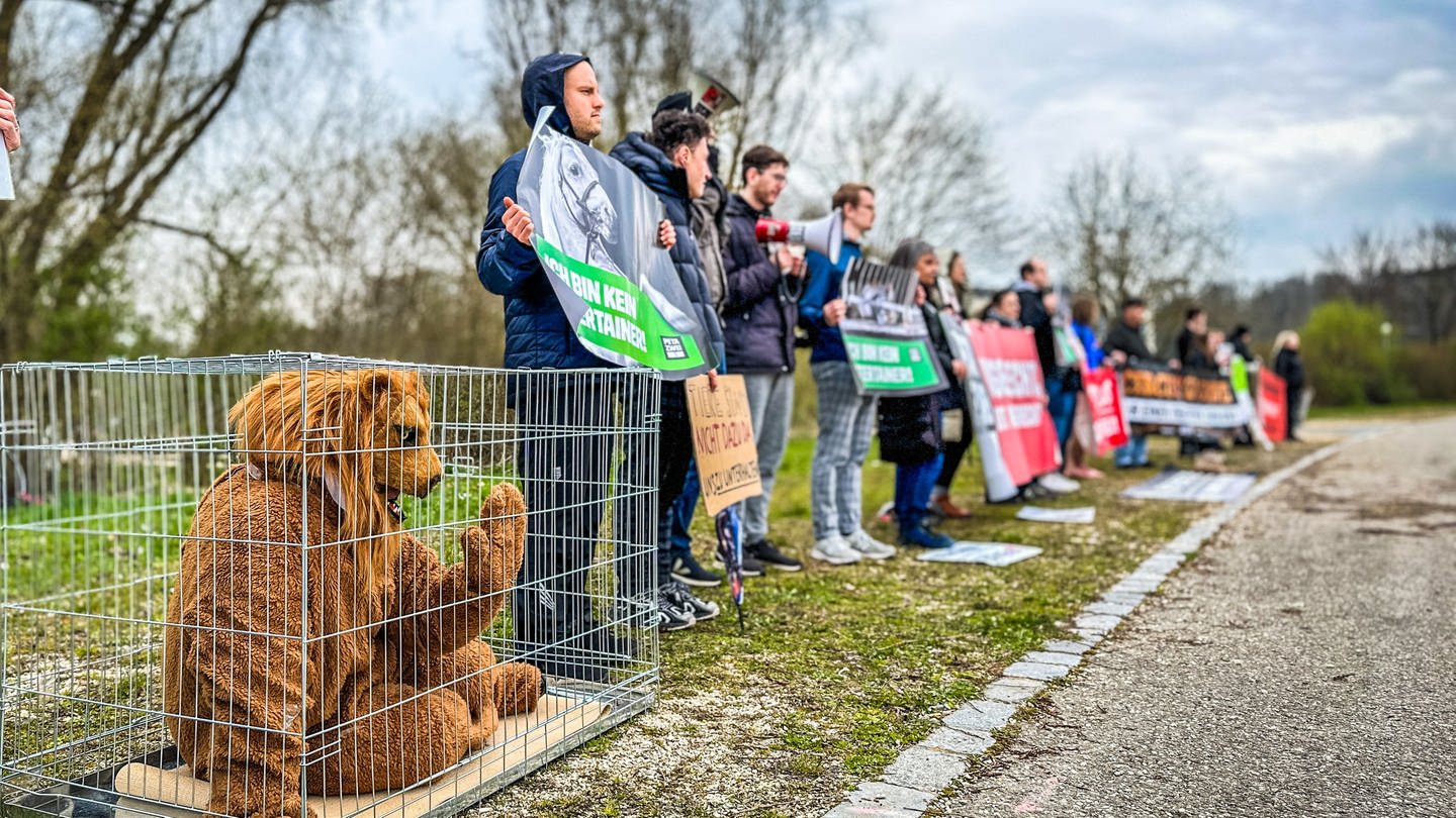 Zur Premiere des Circus Krone in Ulm haben rund 40 Aktivisten von PETA gegen Wildtiere in Zirkussen demonstriert. (Foto: SWR, Volker Wüst)