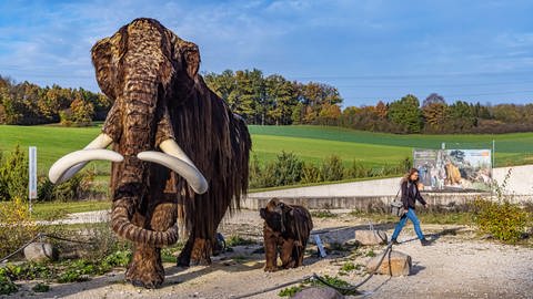 Ein ausgestopftes Mammut im Archäopark - wie es mit dem Gelände in der Nähe von Niederstotzingen weitergeht, ist laut Zeitungsbericht weiterhin ungewiss. (Foto: IMAGO, IMAGO / Arnulf Hettrich)