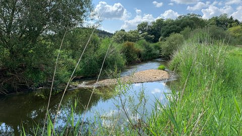 Die Jagst in einem natürlichen Verlauf unter blauem Himmel, am Ufer wächst dichtes grün. So könnte sie auch zur Landesgartenschau in Ellwangen aussehen. (Foto: Stadt Ellwangen)