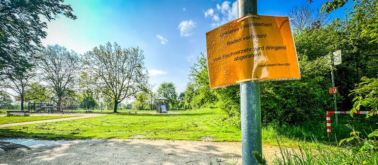 Am Badesee im Neu-Ulmer Stadtteil Ludwigsfeld stehen Warnschilder, das auf ein Fischsterben hinweist, und vorerst dort nicht mehr gebadet werden soll.  (Foto: SWR, Volker Wüst)