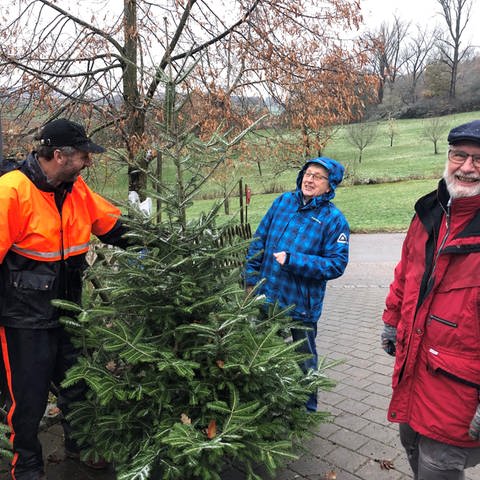 Ein Mann präsentiert einem Ehepaar einen Nadelbaum. Robert Zeller (links) verkauft schon Ende November die ersten Weihnachtsbäume in Aalen-Hofen. Das Ehepaar Gabriele und Hans-Peter Wettemann sind schon ganz früh dran. (Foto: SWR, Frank Polifke)