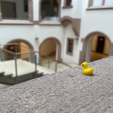 Eine Mini-Ente sitzt auf einem Vorsprung mit Blick über die Eingangshalle des Rathauses. (Foto: SWR, Jorina Stuber)
