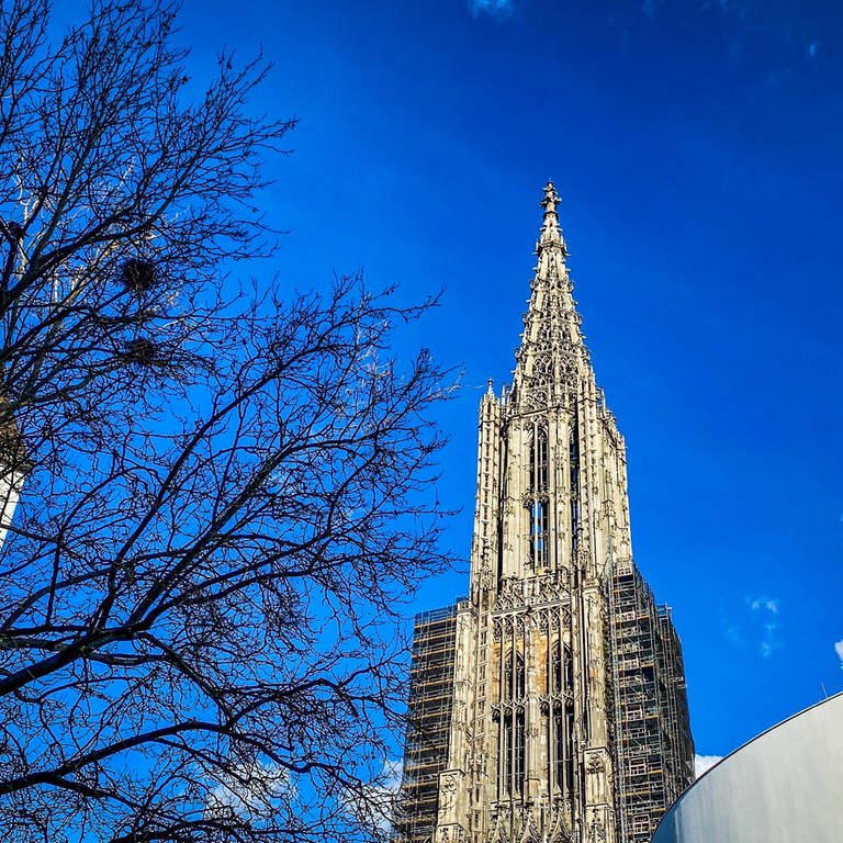 Besucherinnen und Besucher können den Ulmer Münsterturm voraussichtlich ab dem 1. Mai wieder bis zu einer Höhe von 102 Meter besteigen.  (Foto: SWR, Hannah Schulze)