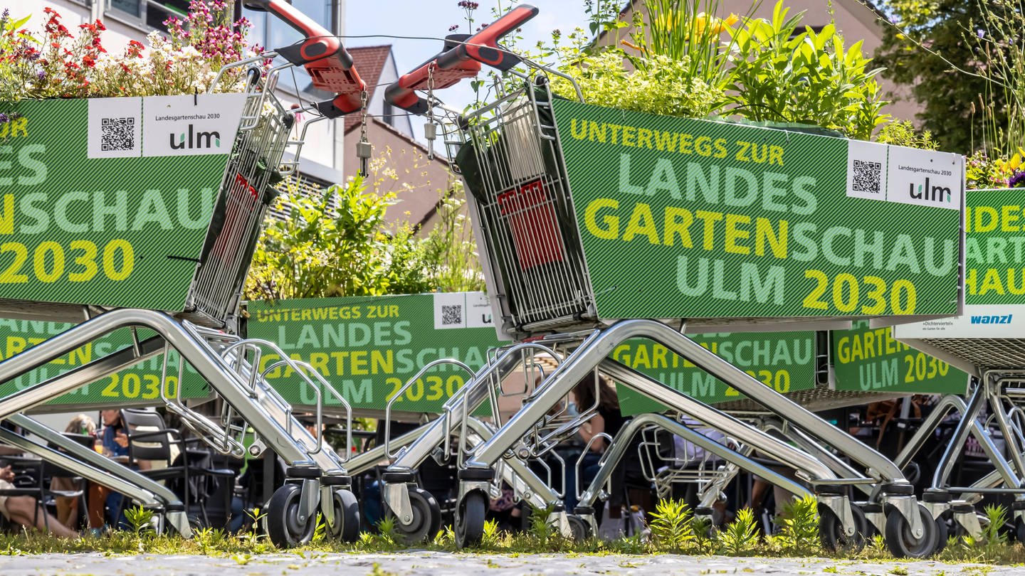 Einkaufswagen mit Werbung für die Landesgartenschau 2030 auf den Seiten. Schon lange freut sich Ulm auf die Landesgartenschau 2030. Schon 2021 machten diese bepflanzten Einkaufswagen Werbung für die Landesgartenschau. (Foto: IMAGO, Arnulf Hettrich)