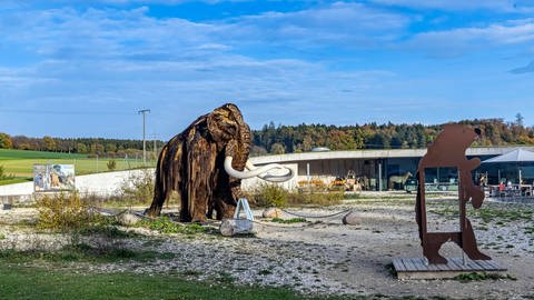 Was soll mit dem leerstehenden Archäopark Vogelherd geschehen? Die Stadt Niederstotzingen möchte in diesem Jahr eine Lösung finden. Der Förderverein Eiszeitkunst hatte bis zuletzt um den Verbleib des Parks gekämpft.