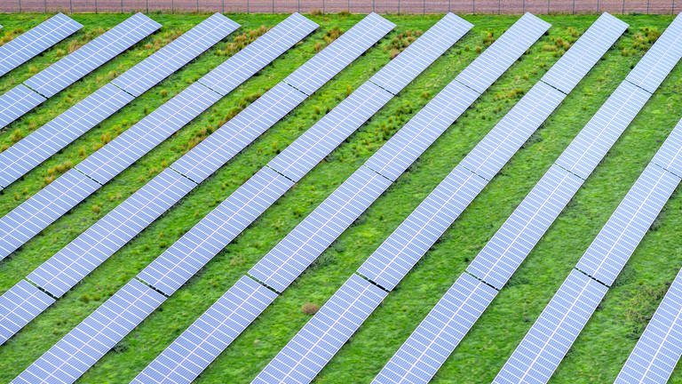 Photovoltaikanlage auf einem Feld (Foto: IMAGO, blickwinkel/C.xKaiser)