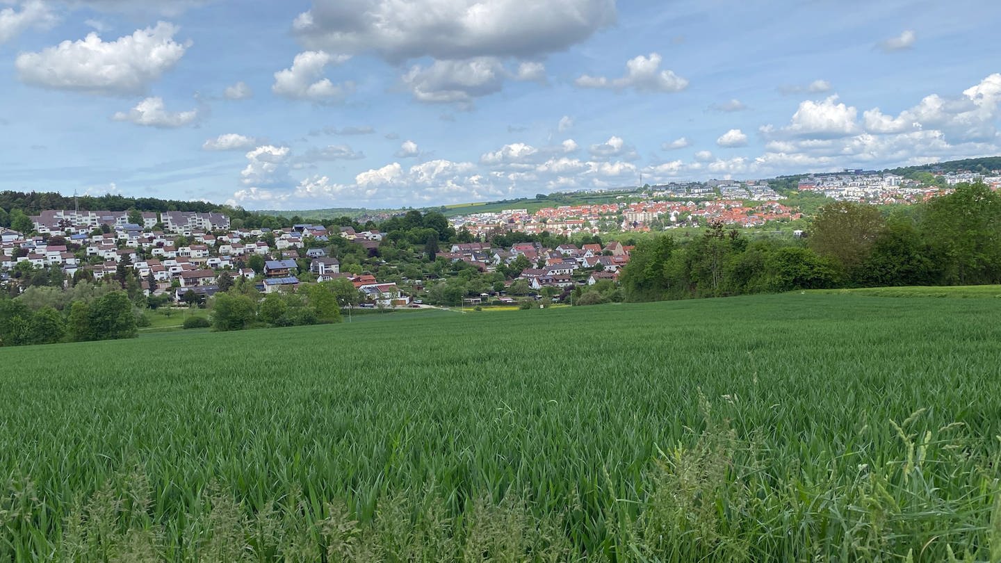 Landschaft in Ulm: Auf der sogenannten Kohlplatte soll ein komplett neuer Stadtteil entstehen (Foto: SWR, Maja Nötzel)